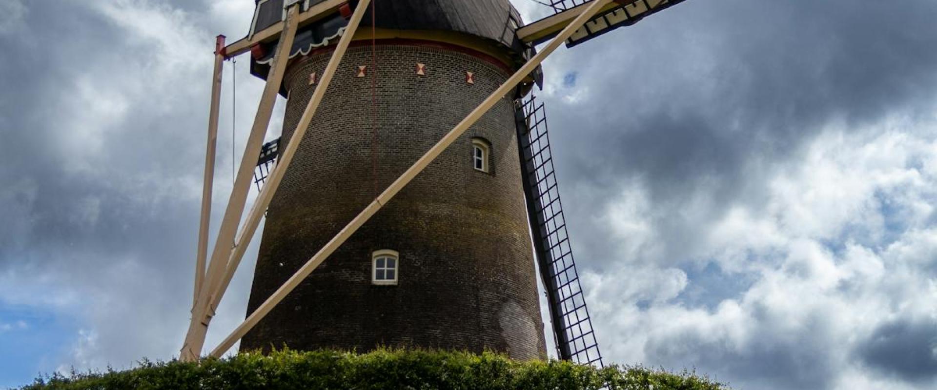 A charming windmill in Wijchen, Netherlands surrounded by vibrant grape hyacinths under a dramatic cloudy sky.