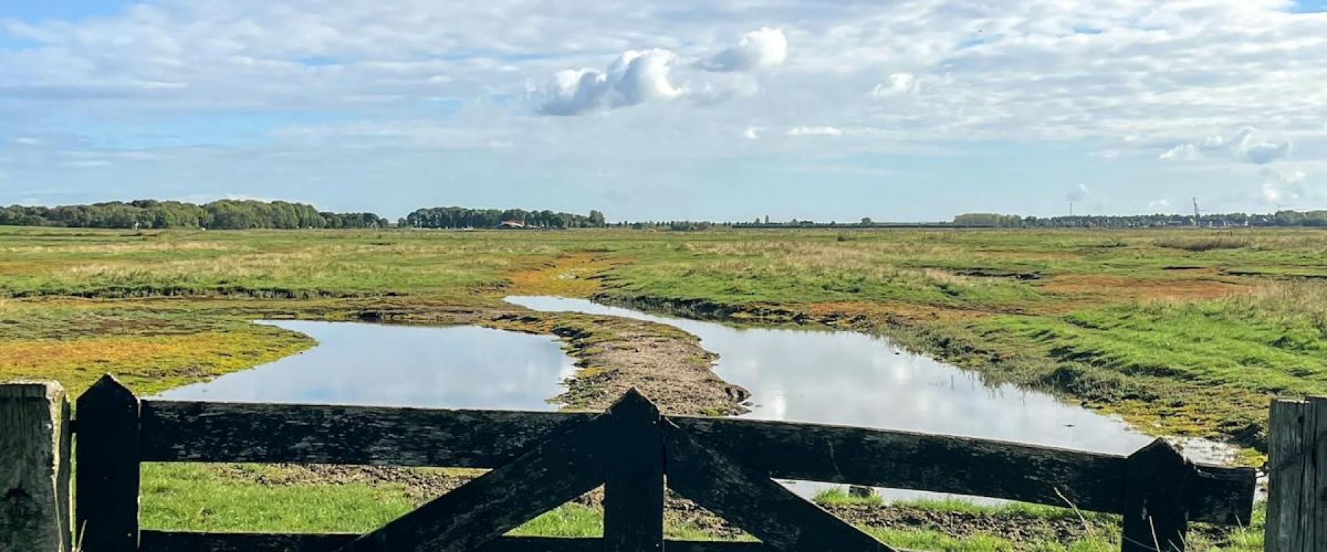 Solo Reflection on the Terpen