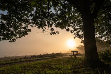 Dwingelderveld