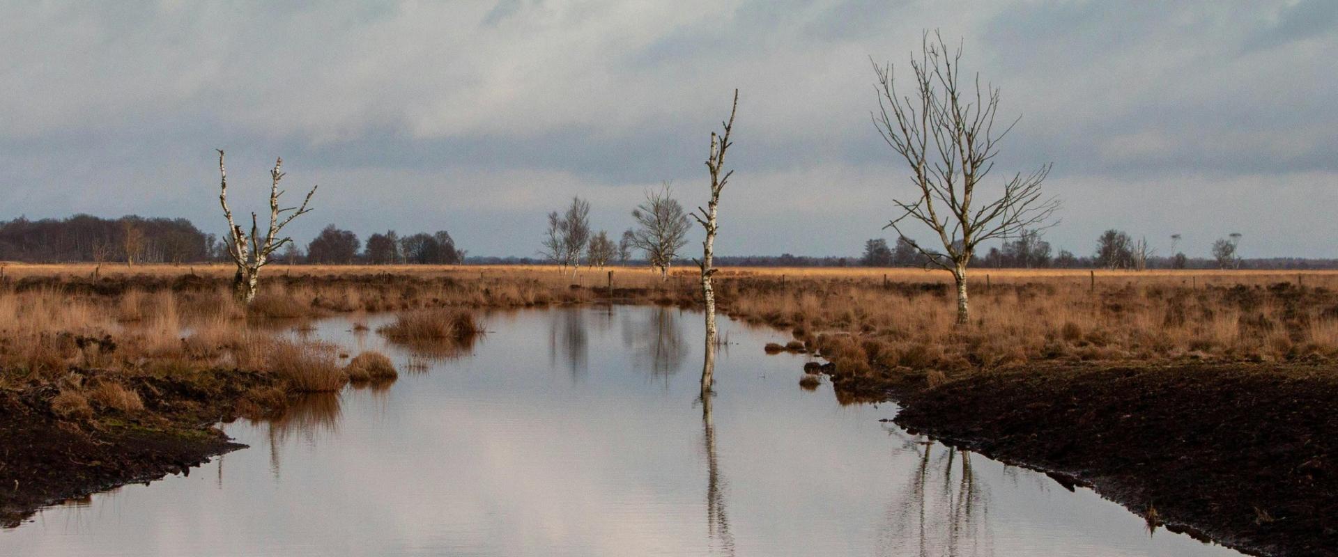 Peaceful moorland vista with a reflective lake, bare trees, and dramatic clouds in Drenthe, Netherlands.