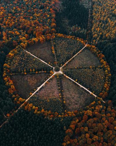 Autumn aerial view capturing converging paths in a forest in Utrecht, Netherlands.