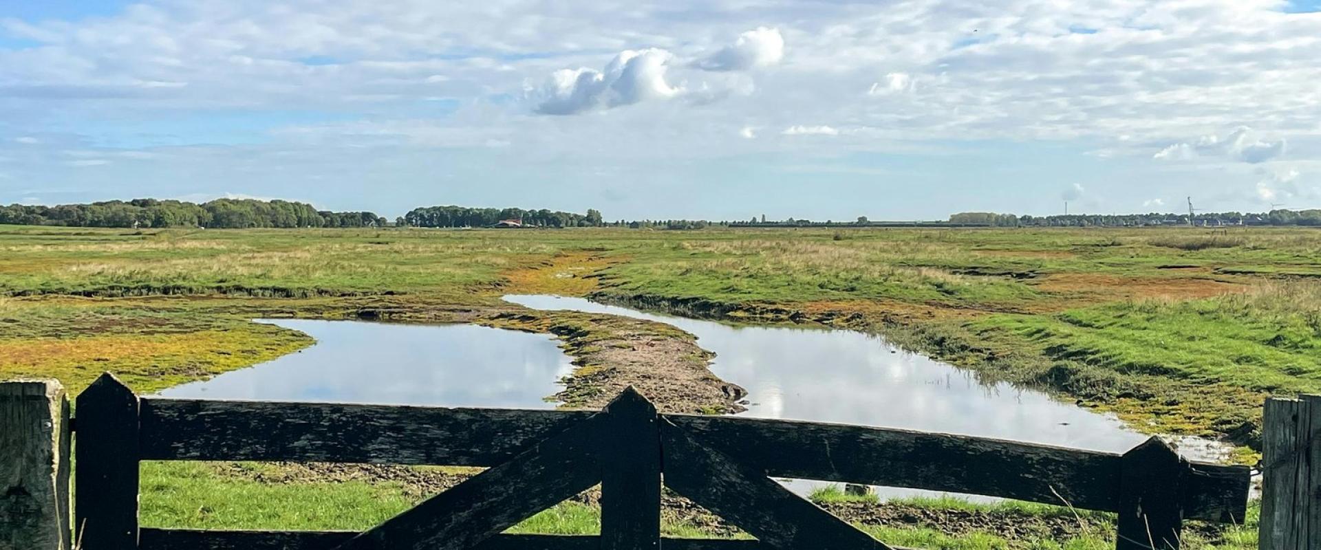 Solo Reflection on the Terpen