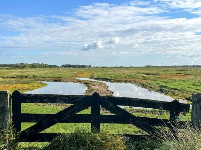Solo Reflection on the Terpen