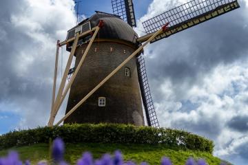 Food & Gastronomy in Amsterdam