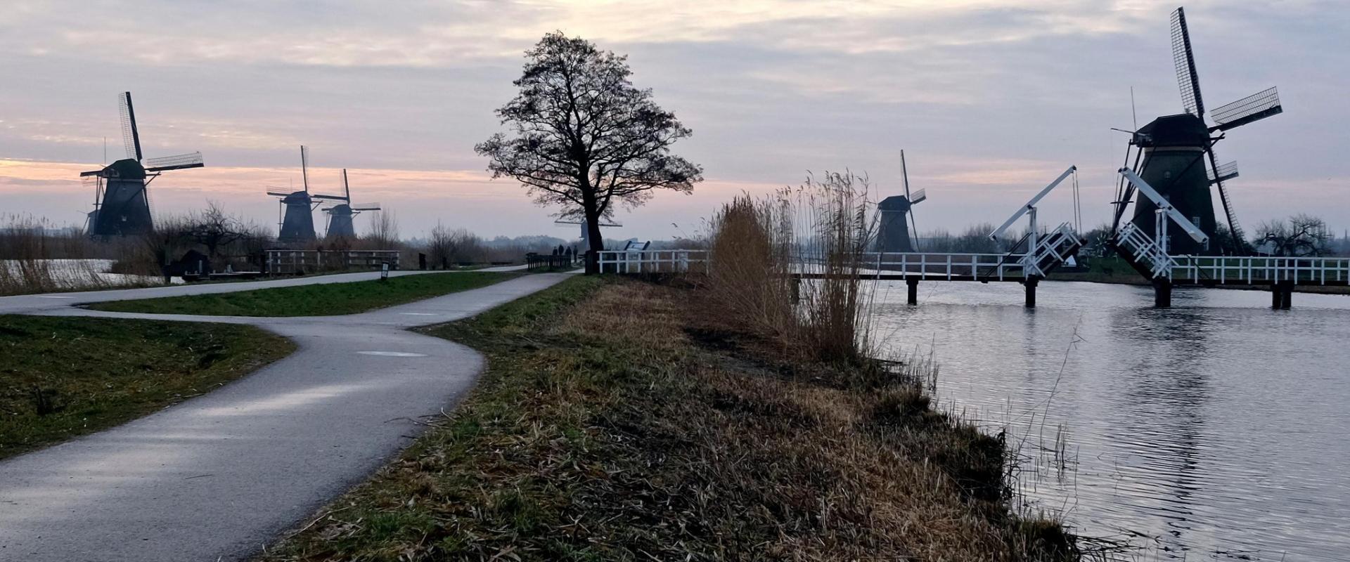 Wine Tasting in Dutch Vineyards