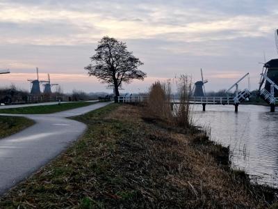 Wine Tasting in Dutch Vineyards