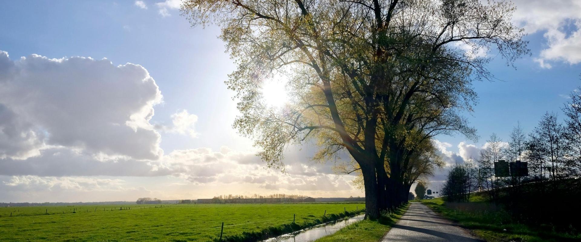 A tranquil view of the Dutch countryside with a sunlit path and canal, capturing the idyllic landscape.