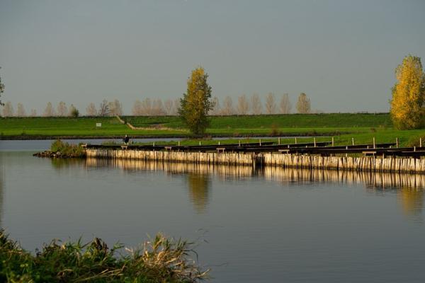 Rimbula River