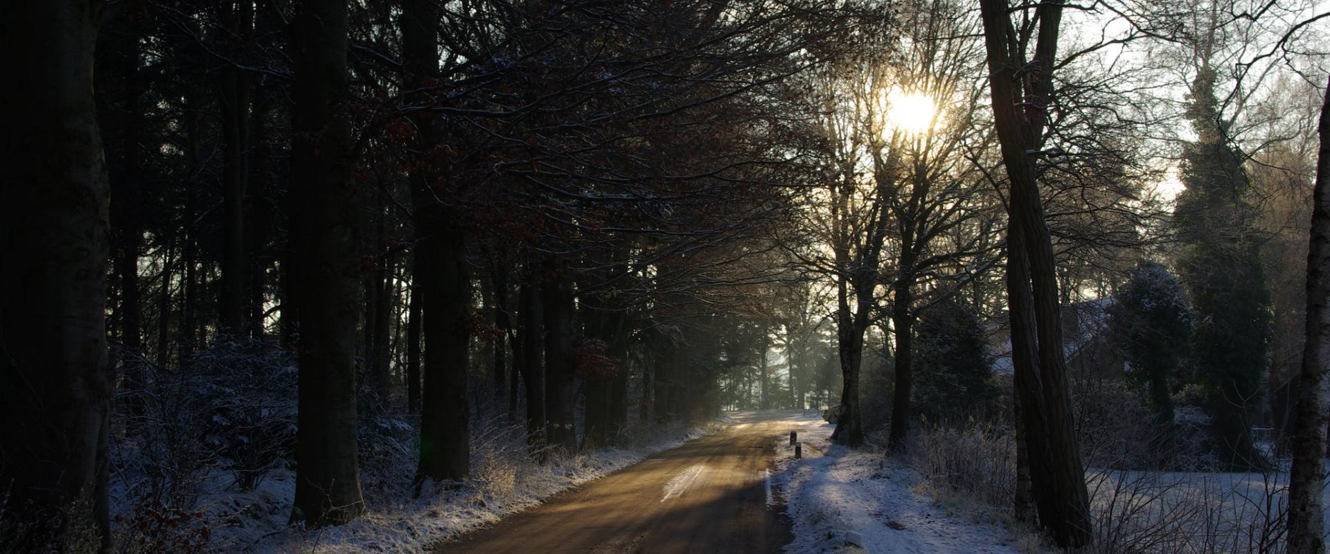 Dutch Winter Holiday Markets