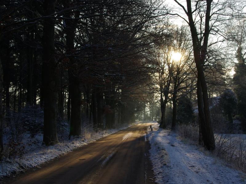 Winter Wonderland (8254380823)