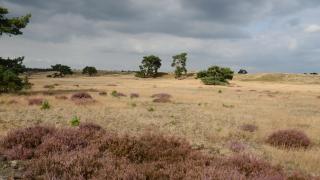 Veluwe