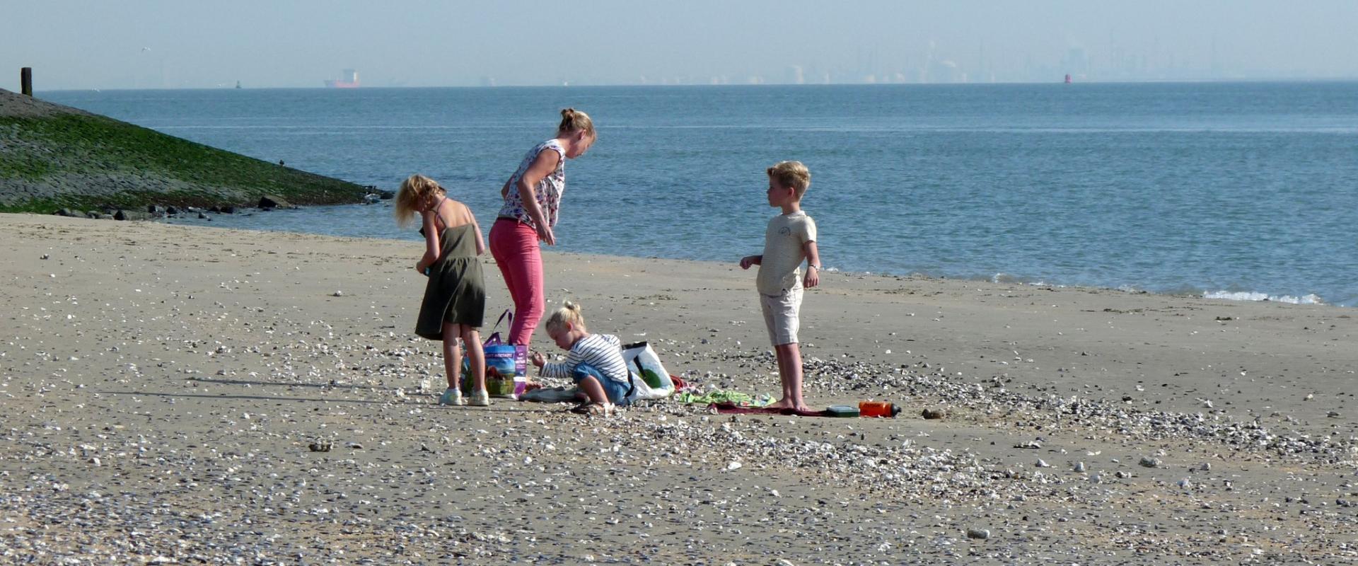 Beaches of Texel