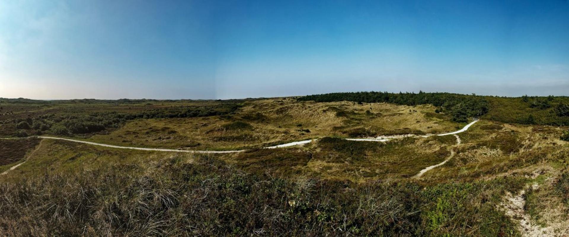 Dunes of Texel National Park
