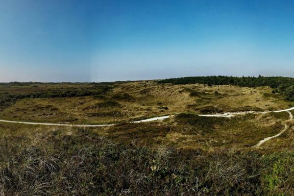 Dunes of Texel National Park