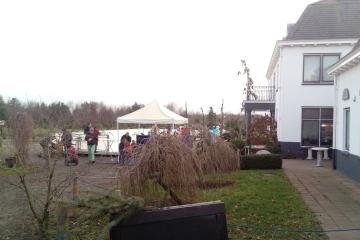 Natural Wonders in Delft