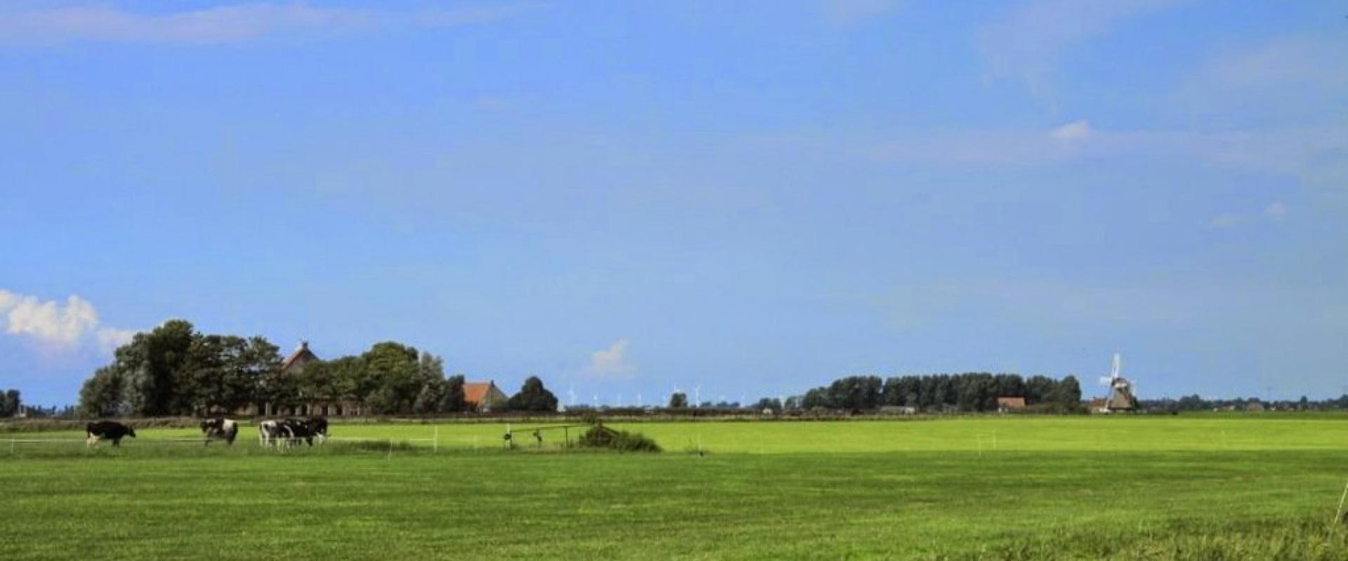 Lollum in Friesland van ver gezien