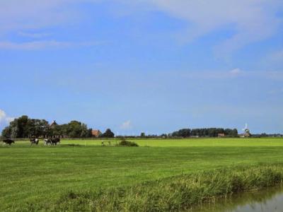 Lollum in Friesland van ver gezien