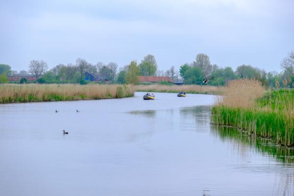 traditional farms (in Winsum)