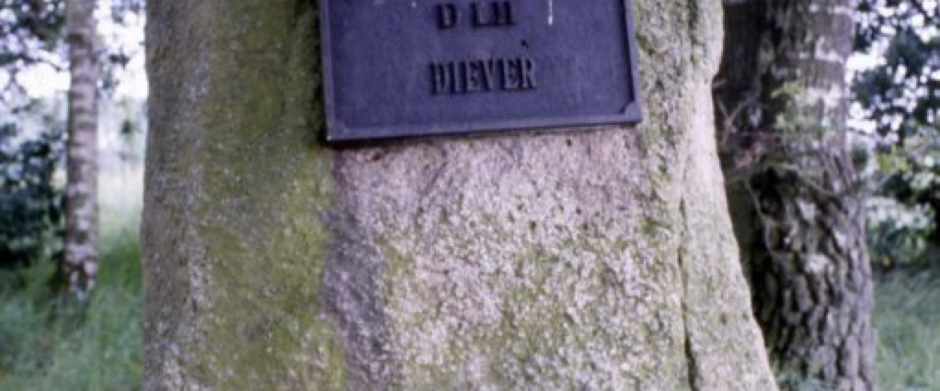 Hunebed D52