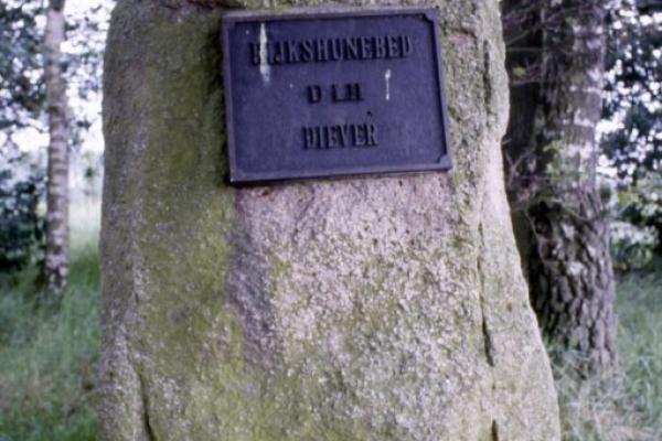 Hunebed D52