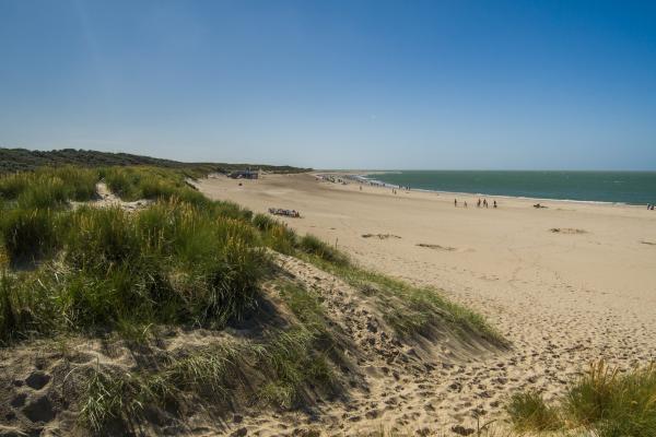 Renesse Beach