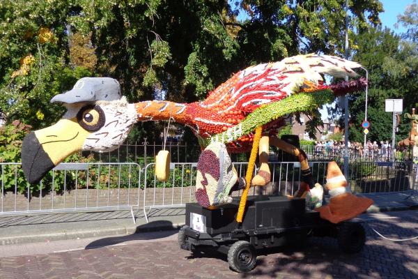 Fruitcorso