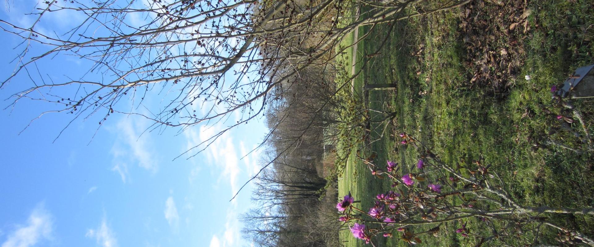 Gouverneurstuin (Governor’s Garden)