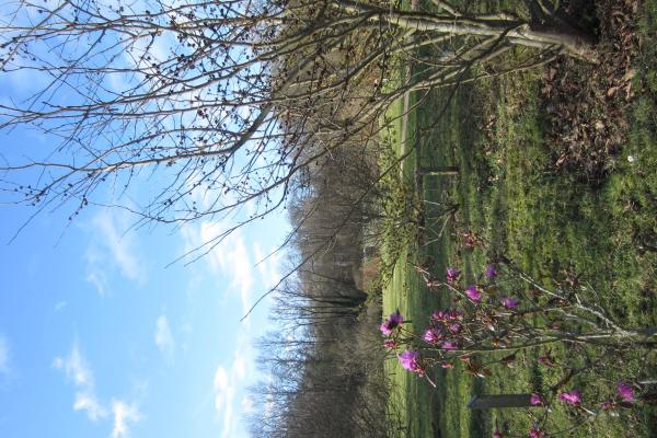 Gouverneurstuin (Governor’s Garden)