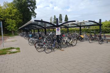 Zuidhorn