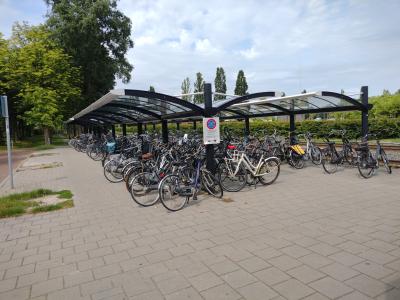 Zuidhorn