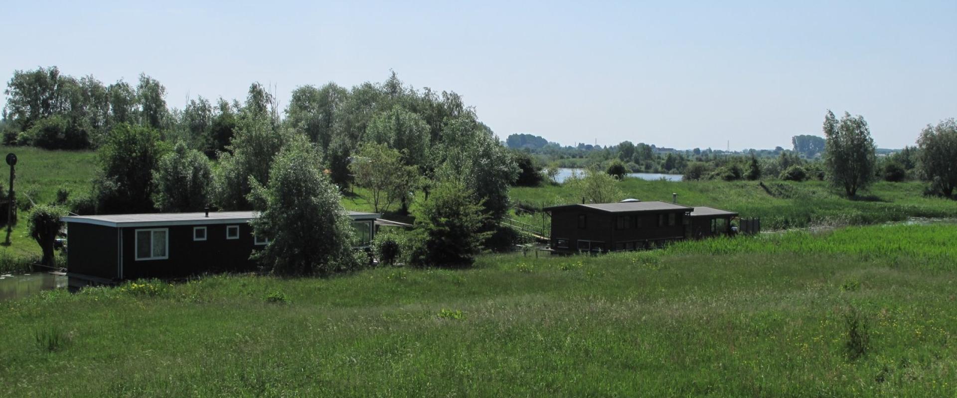 Rhenen