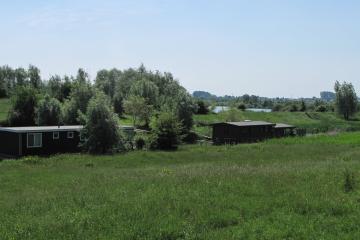 Rhenen