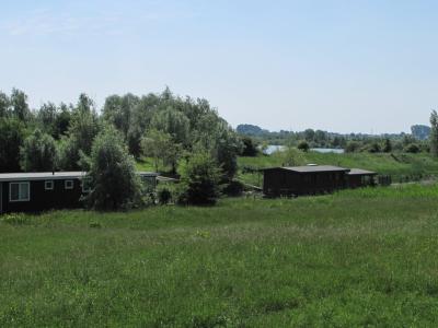 Rhenen