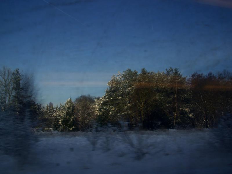 Winter Wonderland (8255449418)