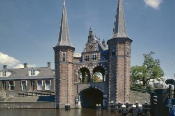 Sneek