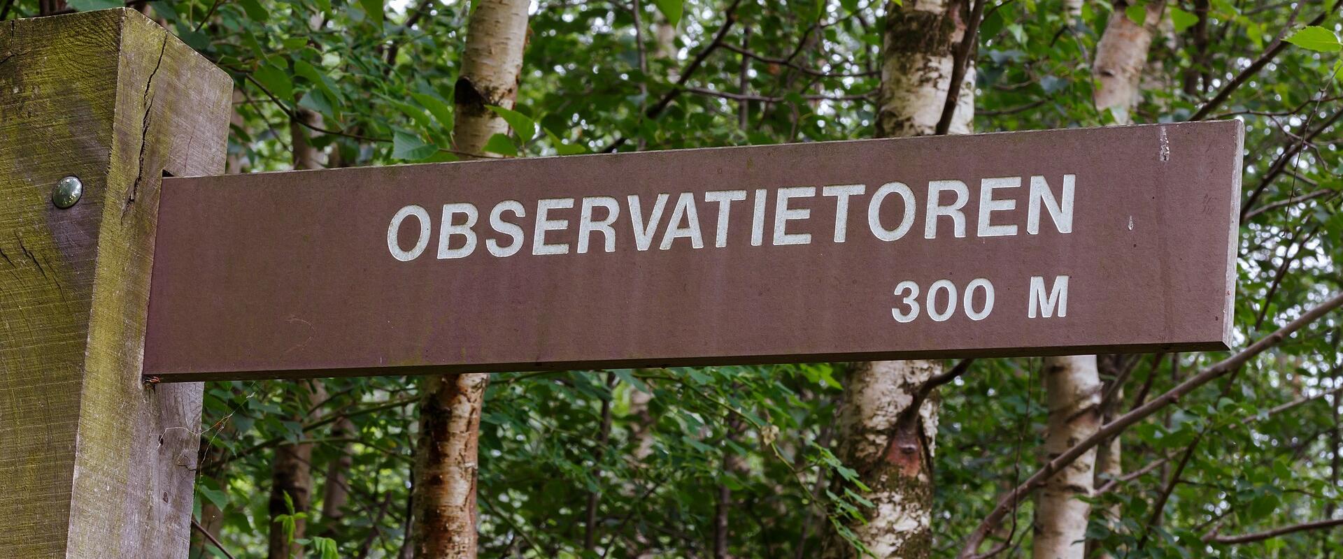 Observation Towers