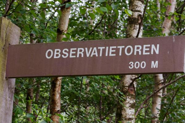 Observation Towers