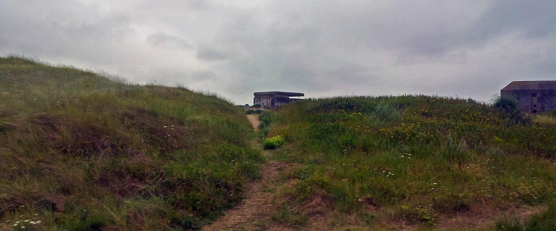 IJmuiden