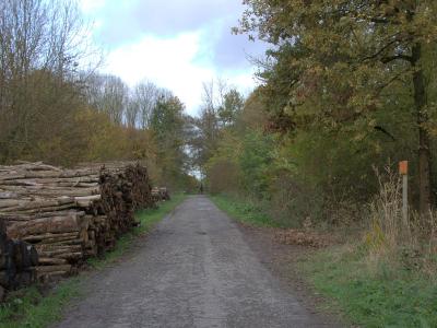 Lingebos