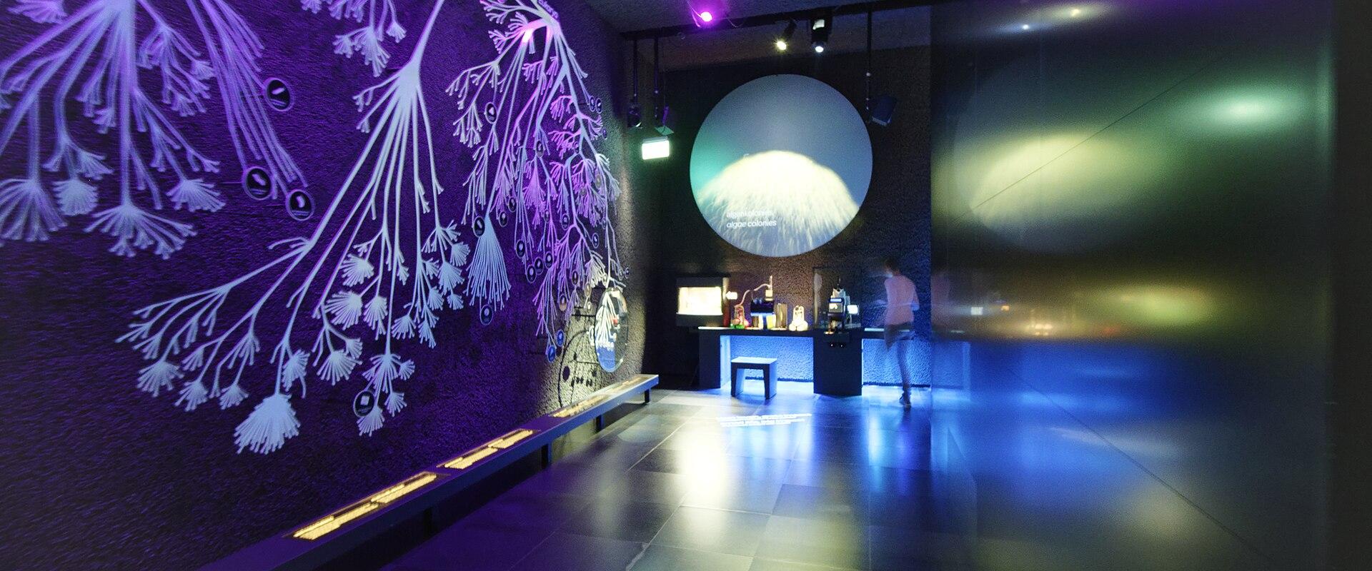 A glowing gallery inside Micropia, Amsterdam