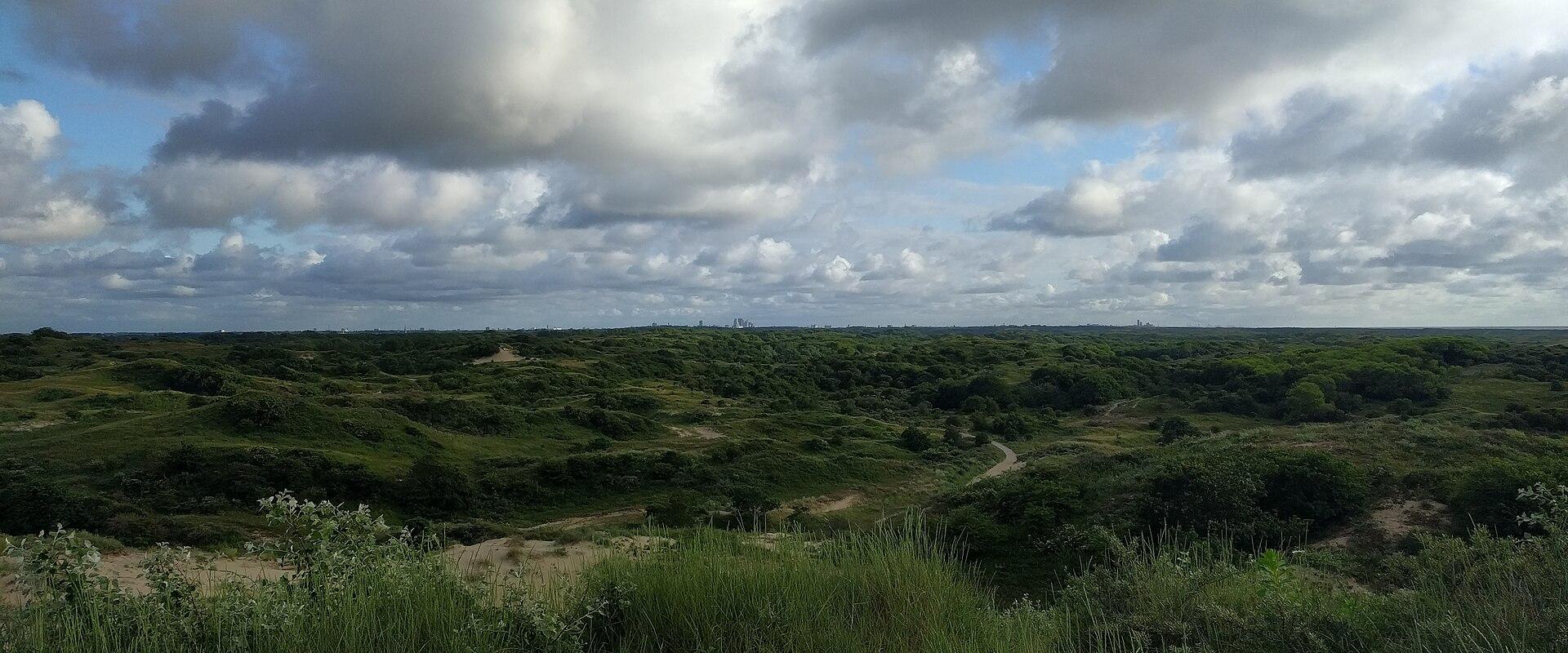 The wide dune landscape of the Katwijk dunes
