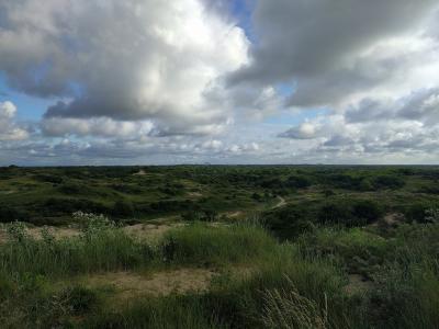 The wide dune landscape of the Katwijk dunes