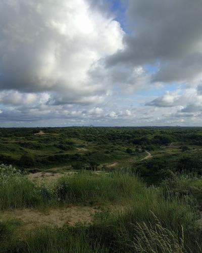 The wide dune landscape of the Katwijk dunes