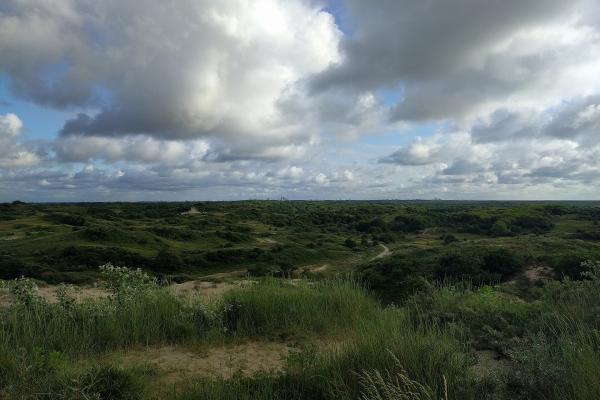 Katwijkse Duinen Nature Reserve