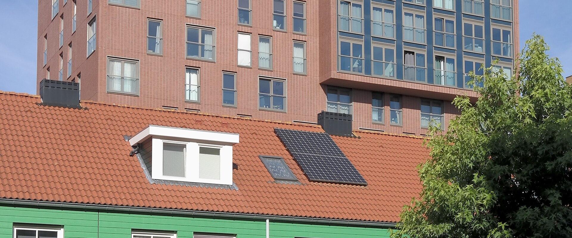 Zaandam