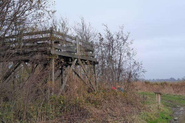 Dark Sky Park