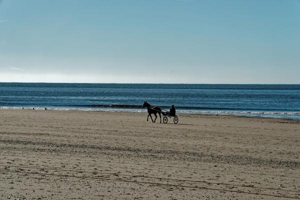 Horseriding