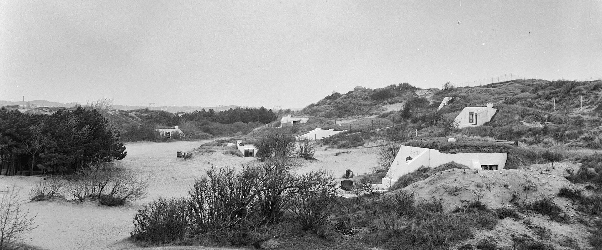 Dune Landscape (Zandvoortse Duinen)