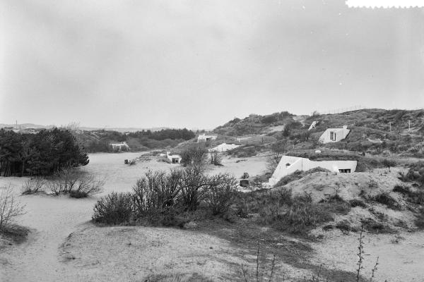 Dune Landscape (Zandvoortse Duinen)