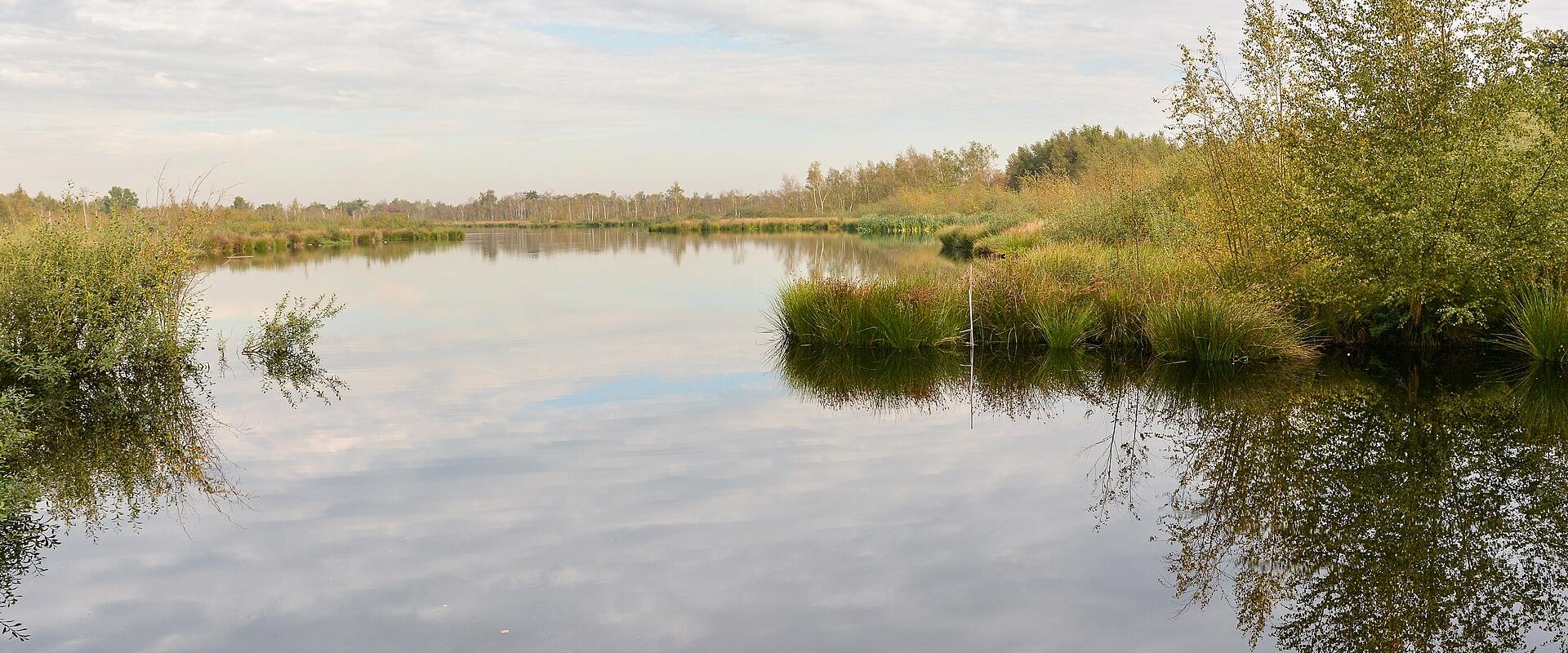 A peat lake reflecting the sky in De Groote Peel National Park